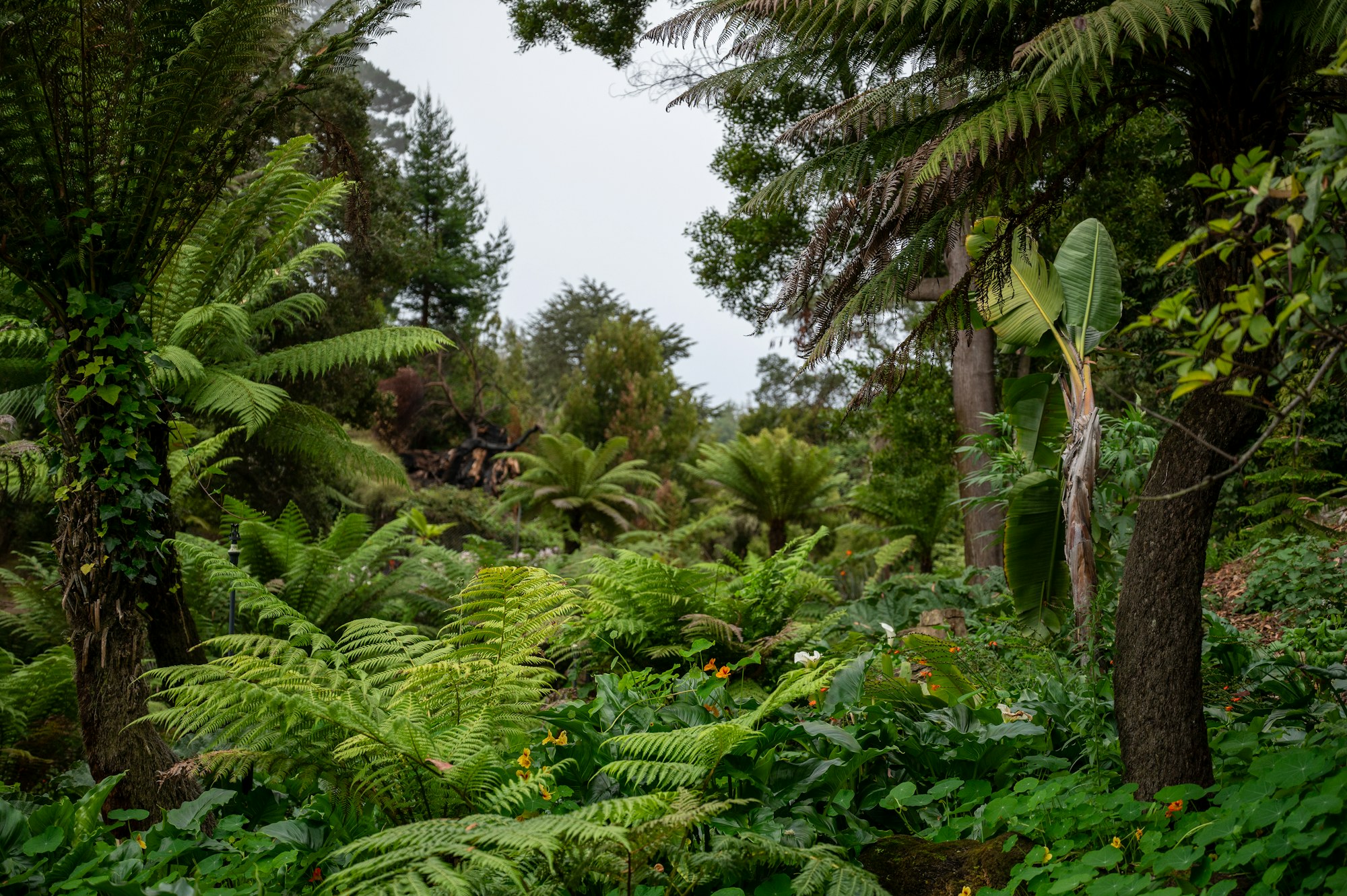 Quinta Jardins do Lago — Jardim subtropical exuberante