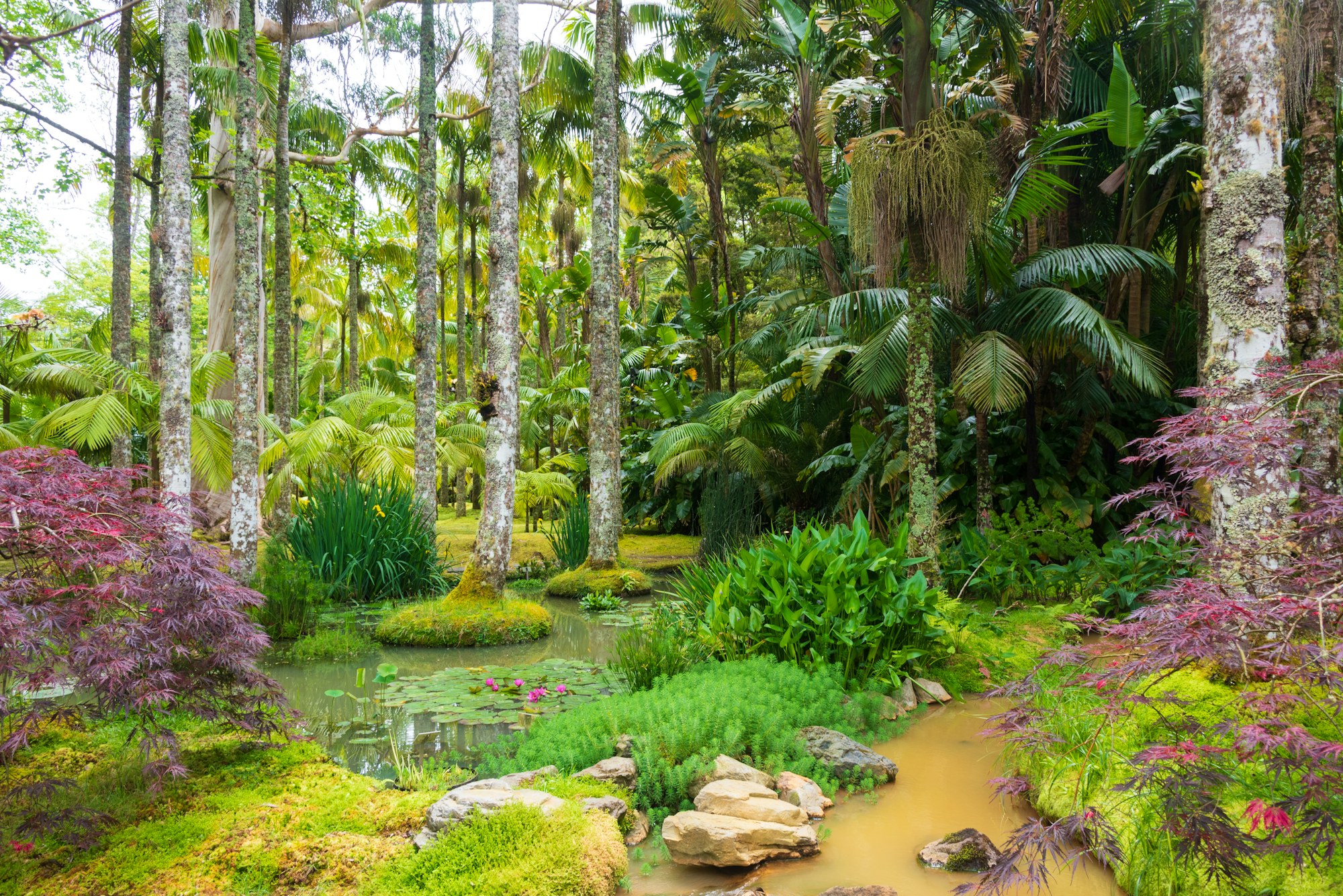 Socalco Nature Calheta — Jardim subtropical exuberante